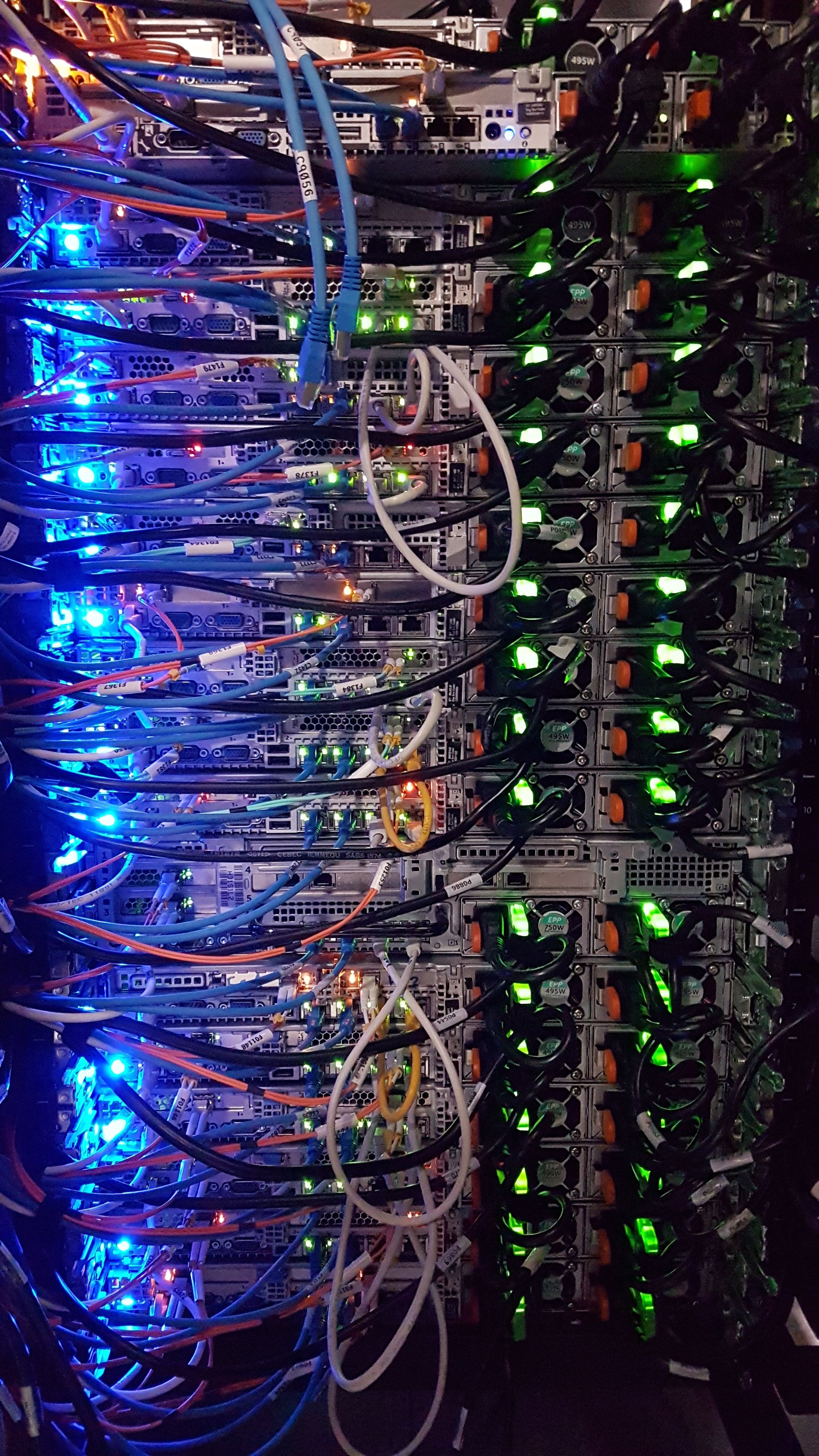 This picture is a bank of servers, each one only a few centimetres high and with very neat cabling. 