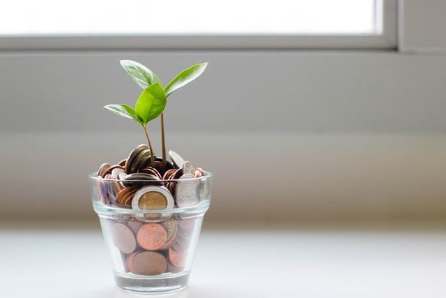 Tiny glass with bronze coins in it and a seedling growing out of it on a neutral background with a window pane. 